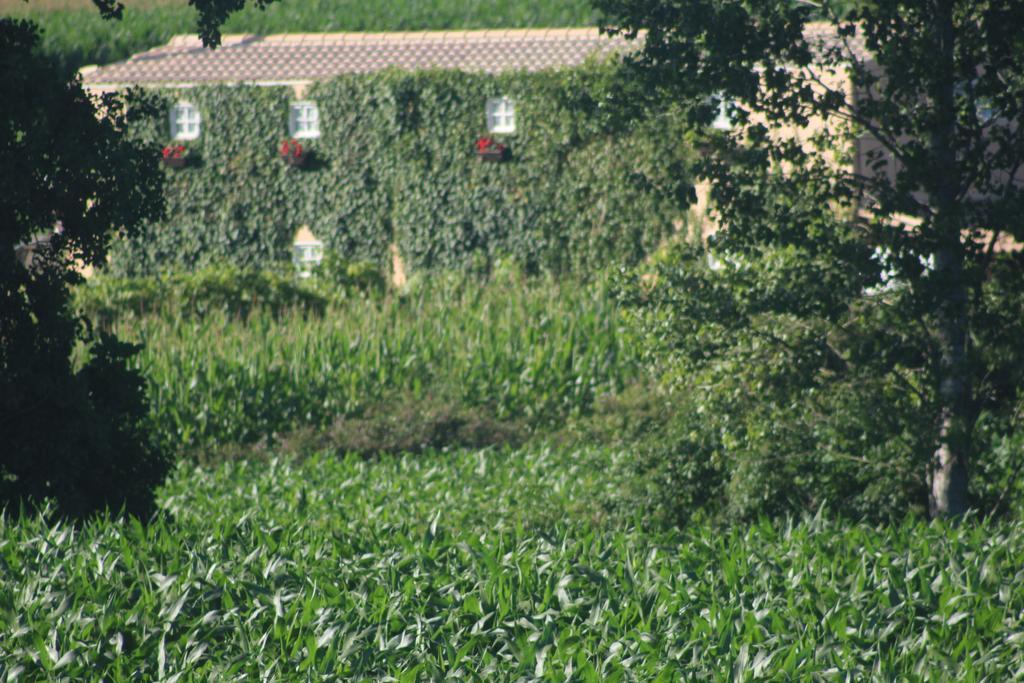 Affittacamere Casa Do Moinho Ovar Esterno foto