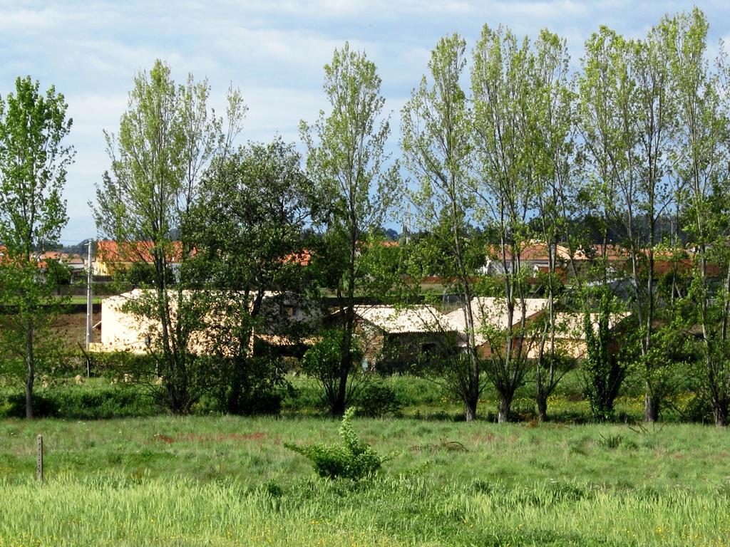 Affittacamere Casa Do Moinho Ovar Esterno foto